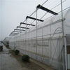 Multi-span Polytunnel Hydroponic Venlo Agricultural Polycarbonate Film Greenhouse for Vegetables/flowers/fruits/garden/tomato/crop/corn