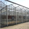 Glass Venlo Hydroponic Polycarbonate multi-span Agricultural Greenhouse for Vegetables/flowers/fruits/garden/tomato/crop/corn