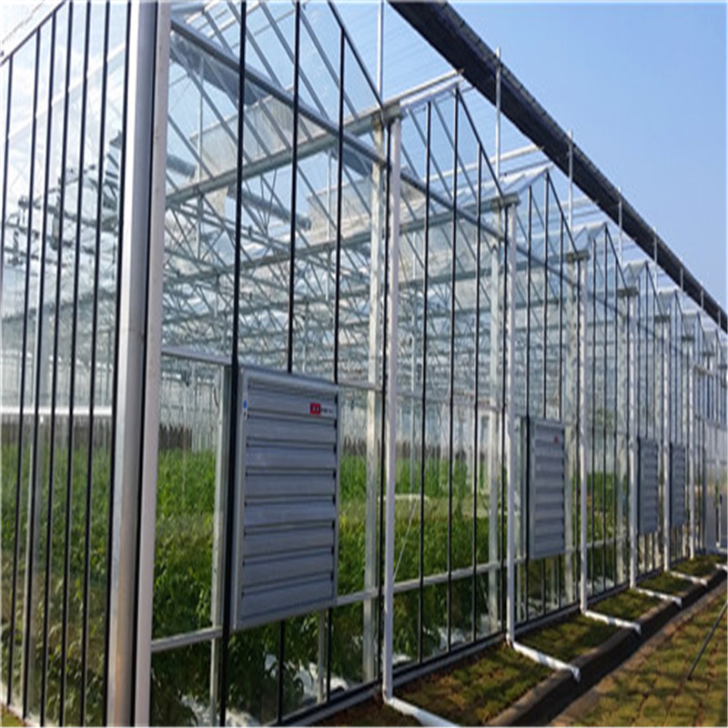 Multi-span Glass Venlo Hydroponic Polycarbonate Agricultural Greenhouse for Vegetables/flowers/fruits/garden/tomato/crop/corn with high quality