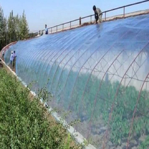 Leaf Vegetable Solar Greenhouse with Po/PE Film