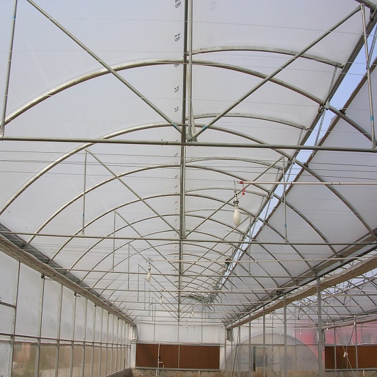 Greenhouse Steel Structure from China Factory