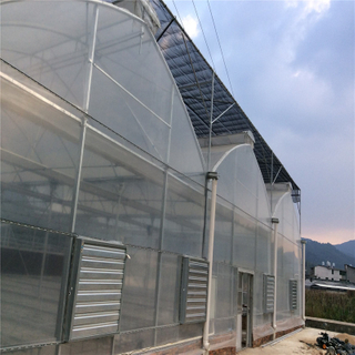 Polycarbonate sheet Covering Greenhouse Hydroponic Venlo Multi-span Agricultural Greenhouse for Vegetables/flowers/fruits/garden/tomato/crop/corn