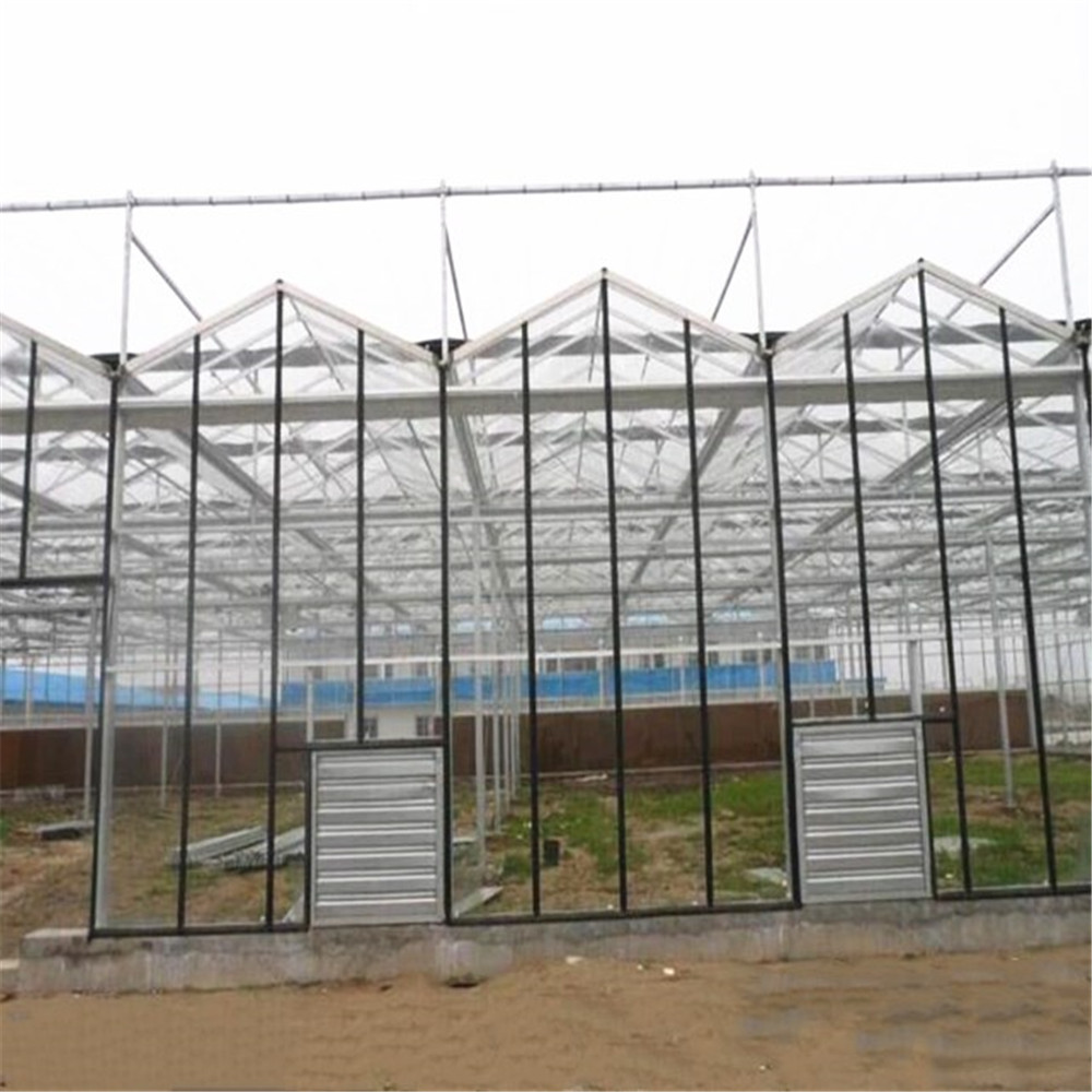 Professional Large Multi-span Smart Automatic Control Commercial Vegetable Cucumber Glass Greenhouse for Agricultural 