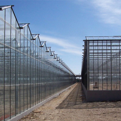 Hot Sale Venlo Tempered Glass Greenhouse With Hydroponic Growing System 