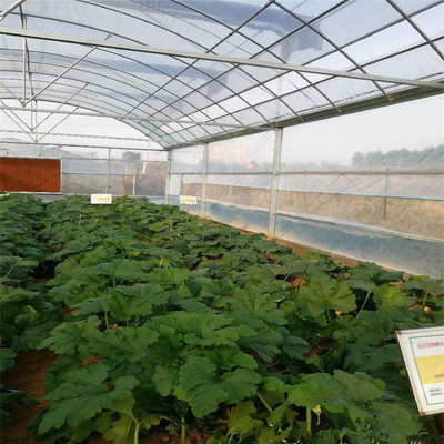 greenhouse hydroponic