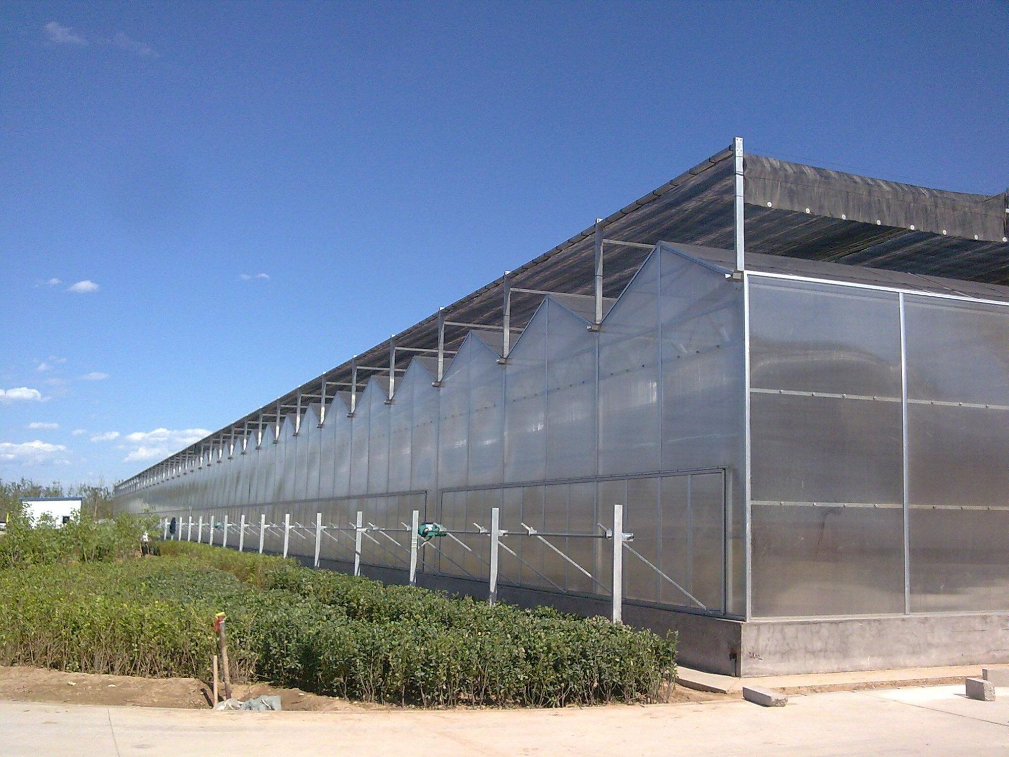 Outside Shading System of Multi Span Greenhouse