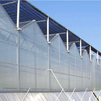 Low Cost Muti-span PC Polycarbonate Greenhouse for Tomato/Cucumber/pepper/Strawberry Hydroponics Growing 