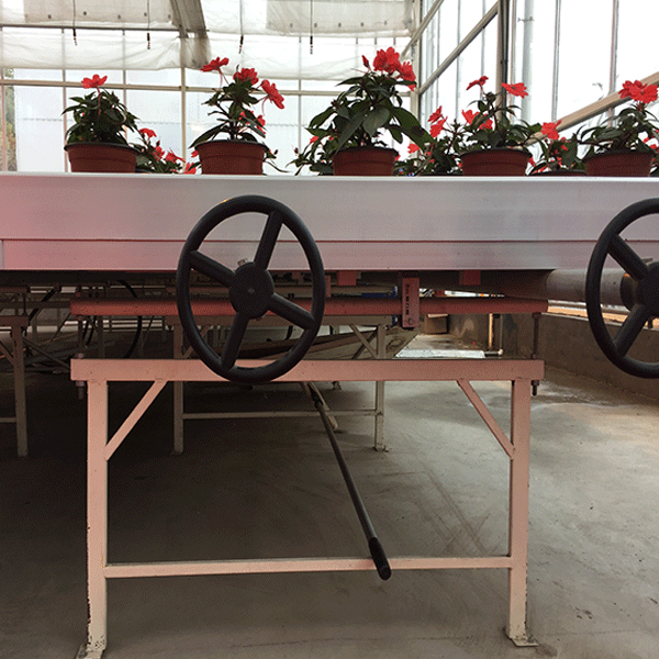 High Quality Hydroponic Growing Rolling Table with Seedbed for Sale 