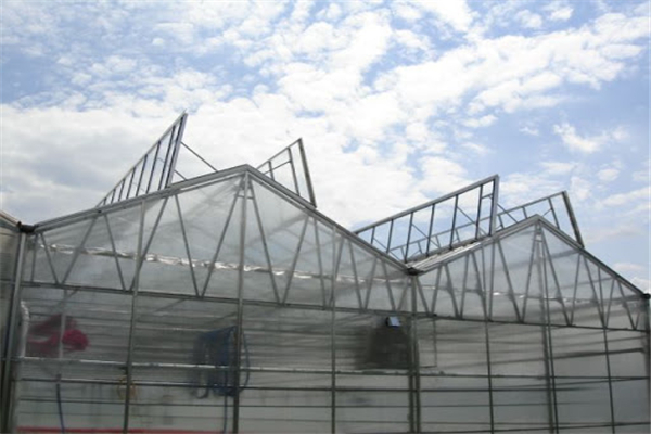 High Quality Ventilation System for Vegetable Growing