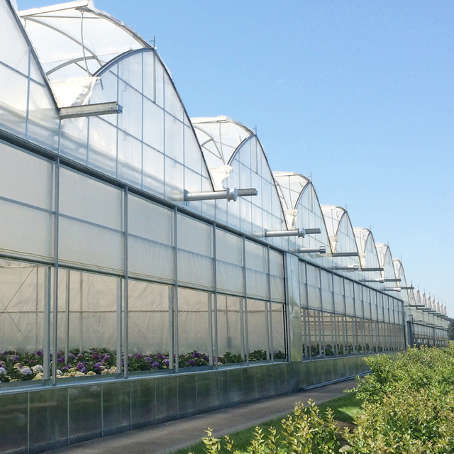 Plastic greenhouse, Polycarbonate greenhouse, Glass greenhouse, Film ...